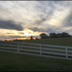 Meet your Posher, Ida